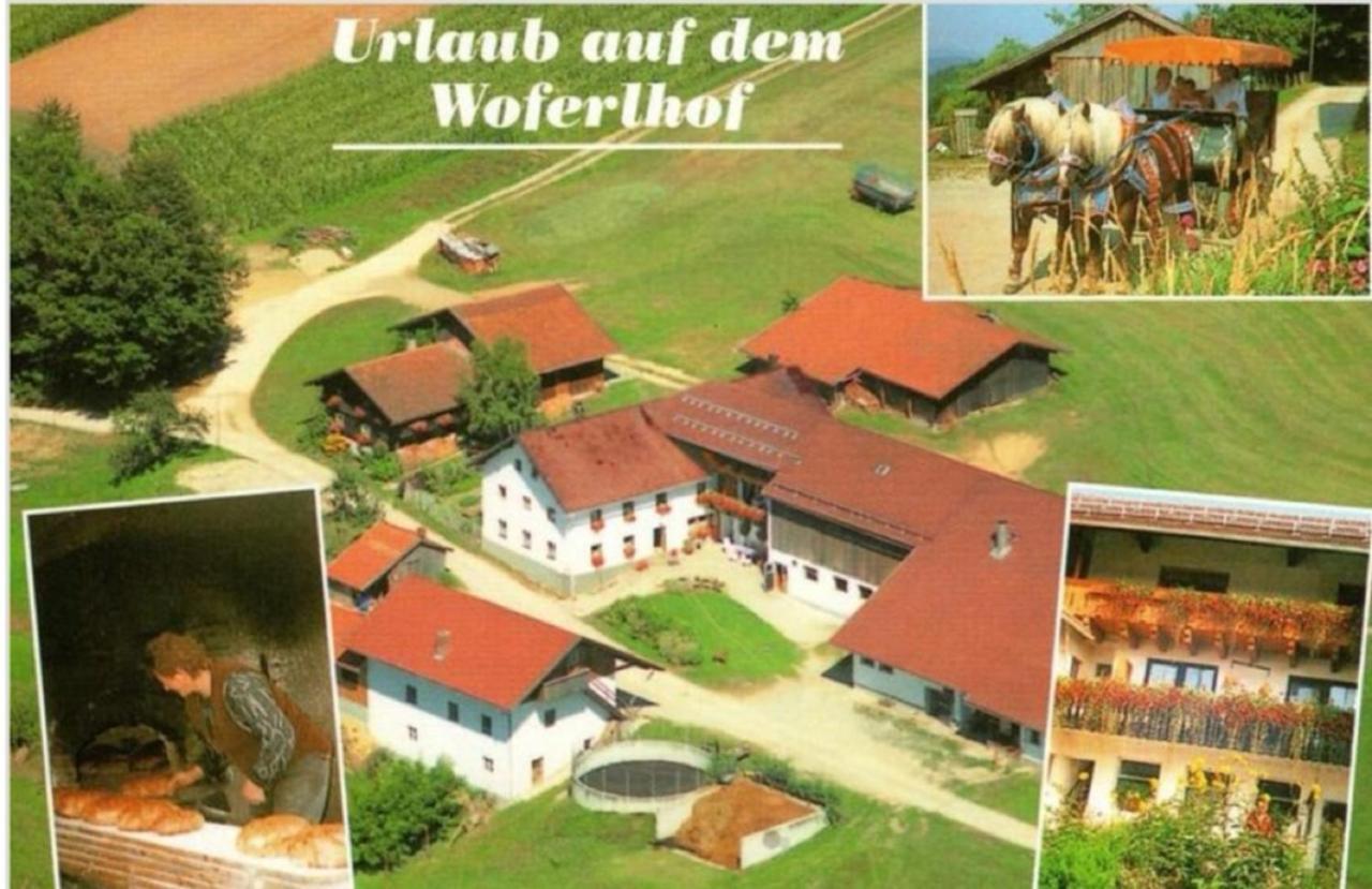 Böbrach Woferlhof, Ferienhof Boxhorn מראה חיצוני תמונה