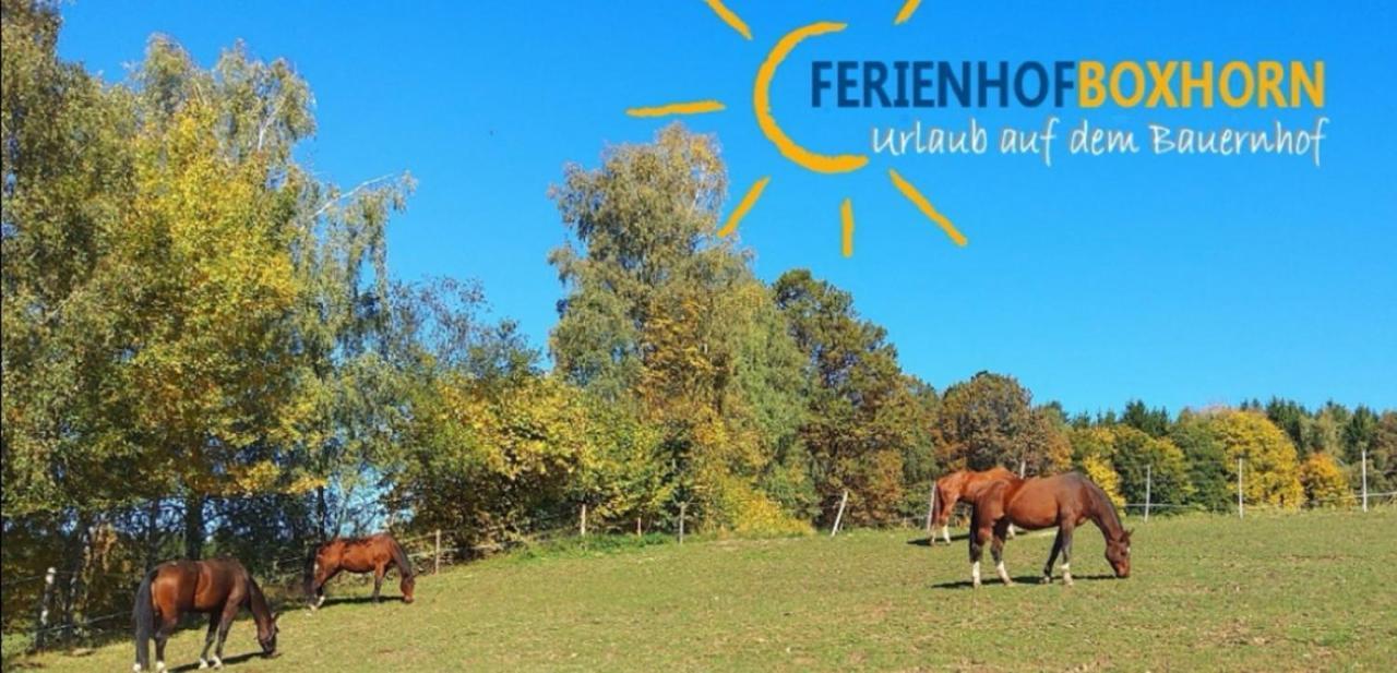 Böbrach Woferlhof, Ferienhof Boxhorn מראה חיצוני תמונה