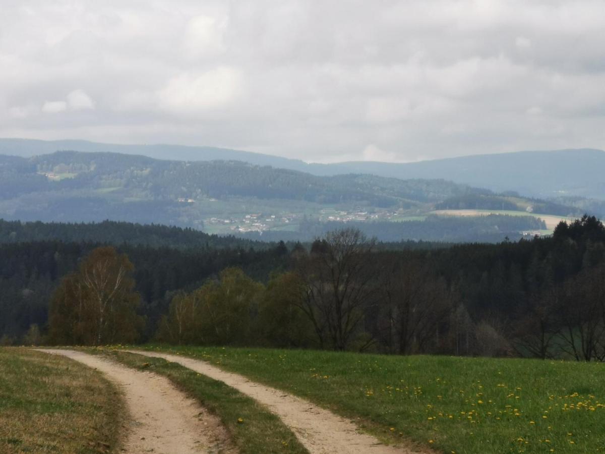 Böbrach Woferlhof, Ferienhof Boxhorn מראה חיצוני תמונה